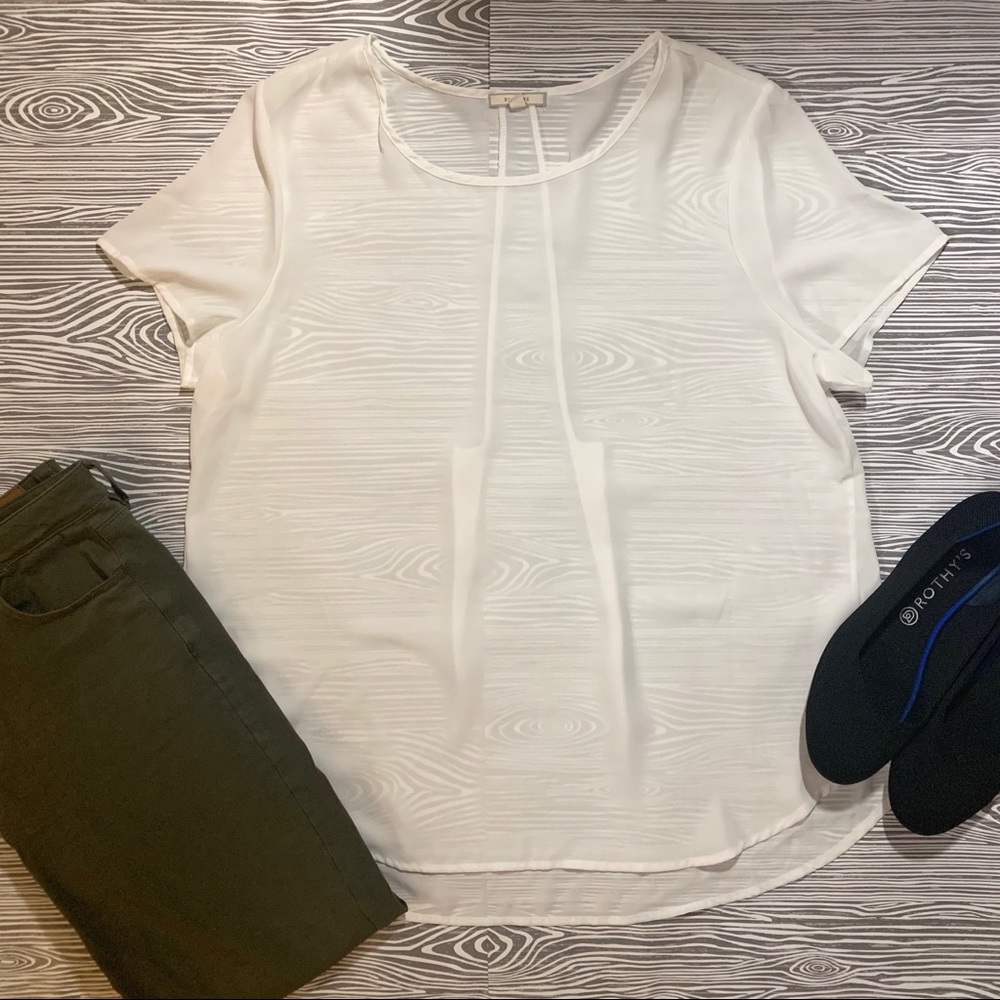 Pleione Sheer Blouse